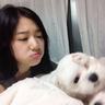 牙齿痛吃什么